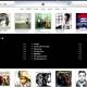 iTunes Store adds selective download features