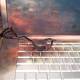 Photo of Laptop battery explosion: Nature and how to prevent it
