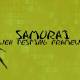 Photo of Learn about Web Testing Framework Samurai