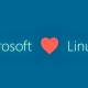 Microsoft officially submitted an application to join 'Linux secretion'.