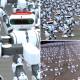 More than 1,000 collective dancing robots break the world record in China