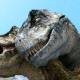 Photo of New research shows Tyrannosaurus Tyrannosaurus relies on her sixth sense to 'love'?
