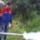 Photo of Sprayers can kill insects, kill termites at the root?