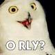 Photo of Spread the virus to print a picture ... the owl