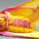 Strangely, moths of brilliant colors are extremely similar to stuffed animals