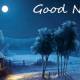 Photo of Super cute good night wishes for lovers, friends