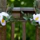 Photo of Synthesis of how to make beautiful flower baskets from ropes for October 20-10