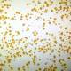 Photo of Synthetic enzymes can be catalysts for artificial life