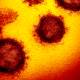 Photo of Taking Covid-19 virus image at atomic resolution, scientists discovered its chemical infectious nature