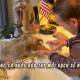 Photo of 'Terminator' Arnold Schwarzenegger isolating himself at home with his pet to avoid Covid-19, and also a video that teaches the 'boss' how to wash their hands properly