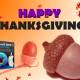 Photo of Thanksgiving gift from Digiarty Software