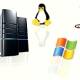 Photo of The basic advantages of Linux servers and Window servers