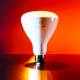 Photo of The best LED light bulb for every room in your house in 2020