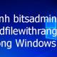 The command bitadmin addfilewithranges in Windows