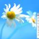 Photo of The easiest way to play Wifi on Windows 8