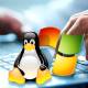 Photo of The Korean government is going to use the Linux operating system instead of Windows because of the expensive cost