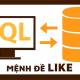 The LIKE command in SQL