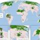 Photo of The new map reveals the global wilderness decline