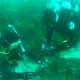 Photo of The noise of ships affects the communication ability of marine creatures