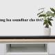 Photo of The reason why should buy soundbar speakers for TV