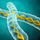 Photo of The variant of NKPD1 gene increases the risk of depression