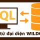 The WILDCARD operator is in SQL