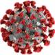 Photo of This AI 'doctor' is being used to quickly diagnose Corona virus