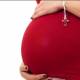 Photo of This drug may reverse the effects of obesity in the mother