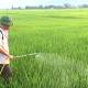 Photo of Top 10 best-selling pesticide sprayers today