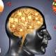 Photo of Top brain tonic foods to enhance memory should not be ignored