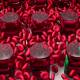 Two new types of blood cells were discovered
