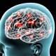 Photo of Unbelievable story: The brain can produce sugar for itself