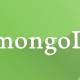 Update Document in MongoDB