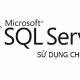 Use annotations in SQL Server