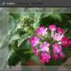 Use the online Photoshop photo editor