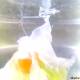 Photo of Video: Drop the camera in hot water to shoot ... boiled eggs