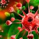 Photo of Warning: Detect a new bird virus that has been infected with MRSA