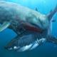 Photo of What ancient monsters can kill Megalodon super shark?