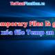 What is a temporary file? Does deleting the Temp file affect the computer?