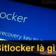 What is bitlocker?