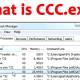 Photo of What is Catalyst Control Center (CCC.exe)?