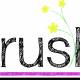 Photo of What is Crush?  Who are you crushing?