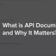 Photo of What is the API Document and why is it important?