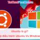 Photo of What is Ubuntu? Why should you use Ubuntu to replace Windows?