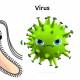 Photo of What other viruses are bacteria?  Why antibiotics cannot treat viral illness?