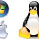 Which operating system will be crowned in the post-PC era?
