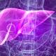 Photo of WHO revealed an amazing number of people with hepatitis B and C