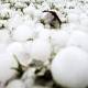 Why is hail?