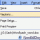 Photo of Working with files saved as version (Version)