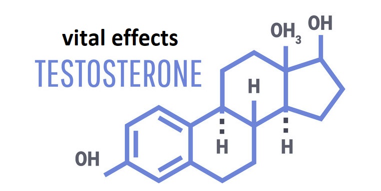 images 1 of 7 vital effects testosterone has on your health